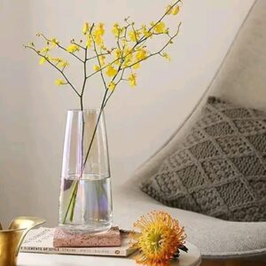 BS AMOR Clear Glass Vase for Decor Home Handmade Modern Large Flower Vases for Centerpieces Living Room Kitchen Office Wedding 8.7 Inch